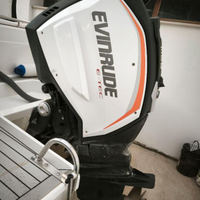 Evinrude G2 300