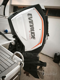Evinrude G2 300