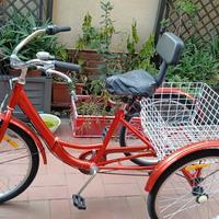 Biciclette a tre ruote