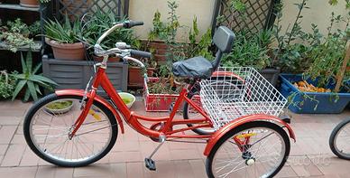 Biciclette a tre ruote