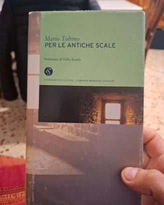 Per le antiche scale di Mario Tobino