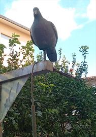 Stampi per caccia colombi con supporto