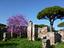 Immagine 14