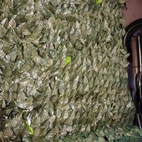 edera finta per recinzioni 