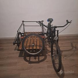 bici cargo 