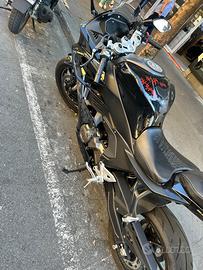 QJ Motor SRK 550 - 2024