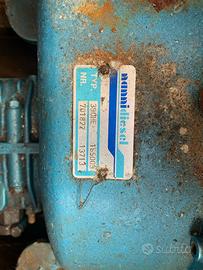 Gozzo con motore Nanni entrobordo 20cv