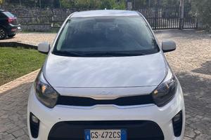 Kia picanto 2024