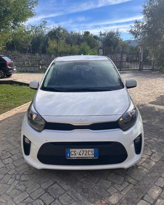 Kia picanto 2024