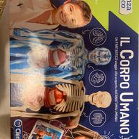 Gioco in scatola Corpo Umano