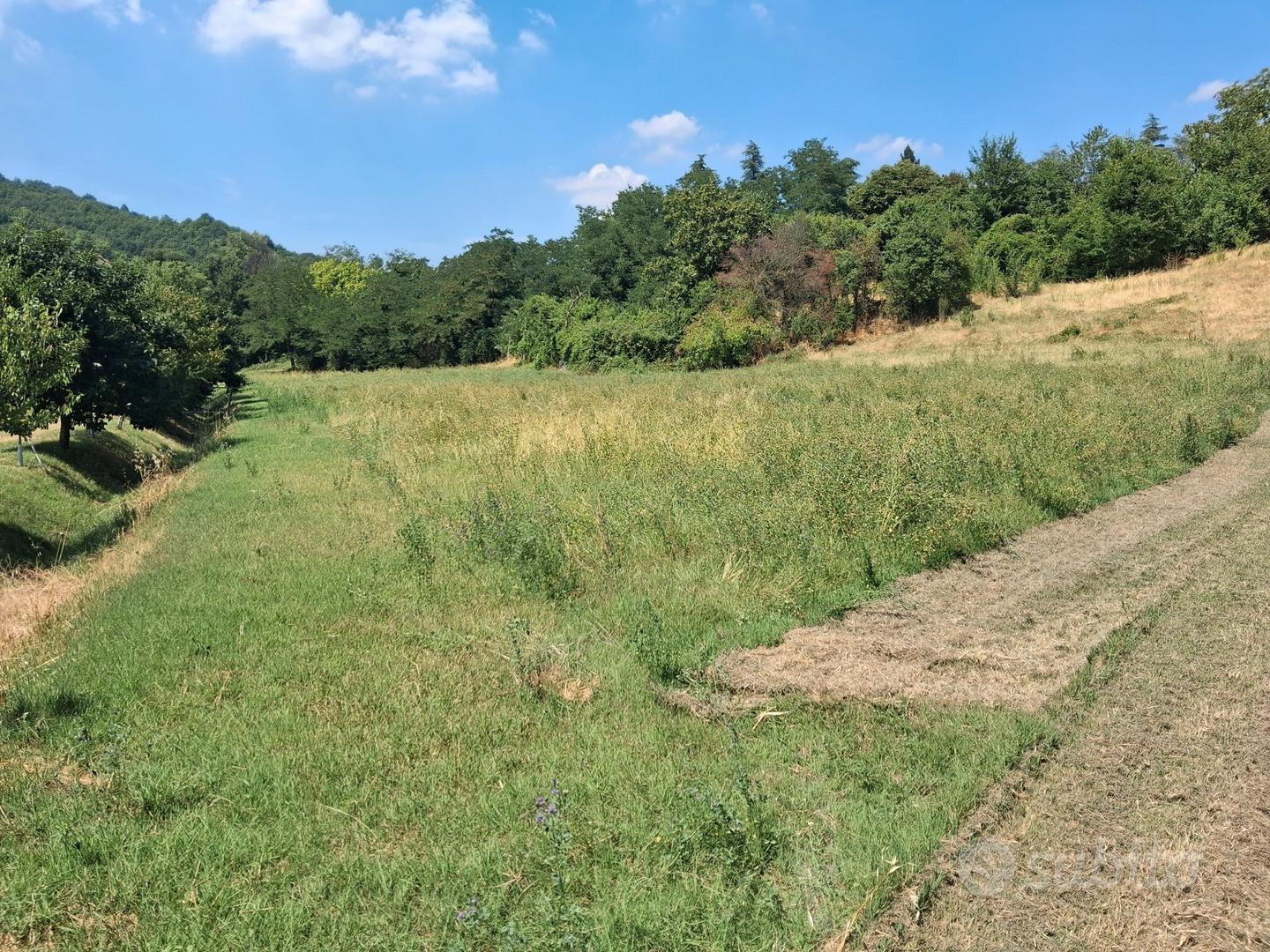 Terreno agricolo adatto alla coltivazione - Vista 4