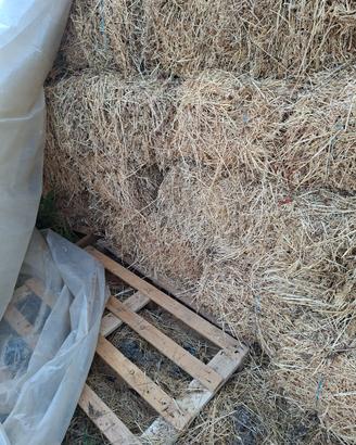 Erba medica ballette presse