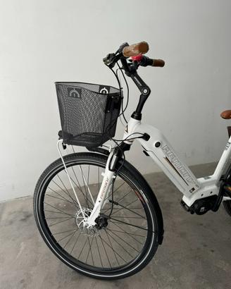 Bici elettrica