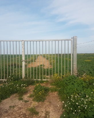 Terreno agricolo bonificato con pozzo e acqua