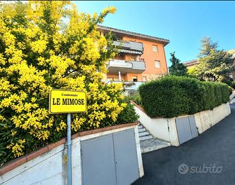 Appartamento - Teramo