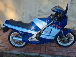 Suzuki  RG 250 1988 finanziabile 