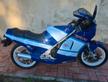Suzuki  RG 250 1988 finanziabile 