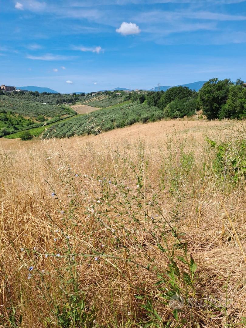 Rif 215B TERRENO AGRICOLO A MOSCUFO - Vista 2