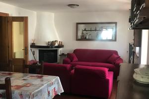 Vacanze ad Auronzo di Cadore centro