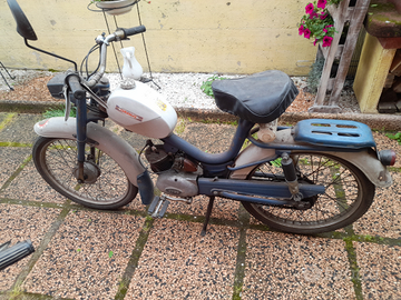 Motorino atala