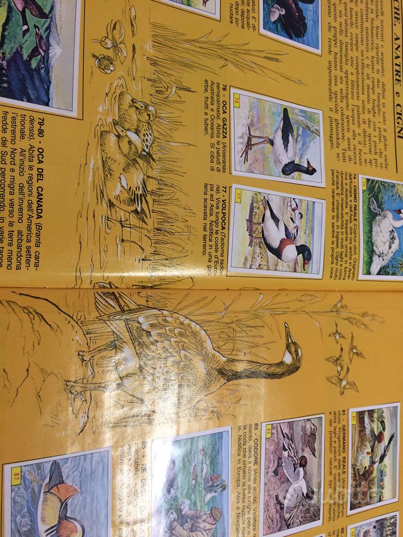 Enciclopedia Pokemon, album e carte varie - Collezionismo In