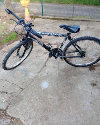 bicicletta