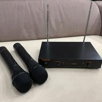 Coppia microfoni wireless karaoke