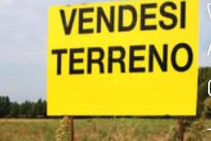 Terreno agricolo
