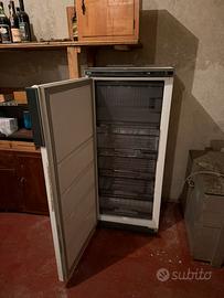 CONGELATORE IGNIS
