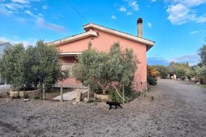 Località Su Cardu - azienda agricola -