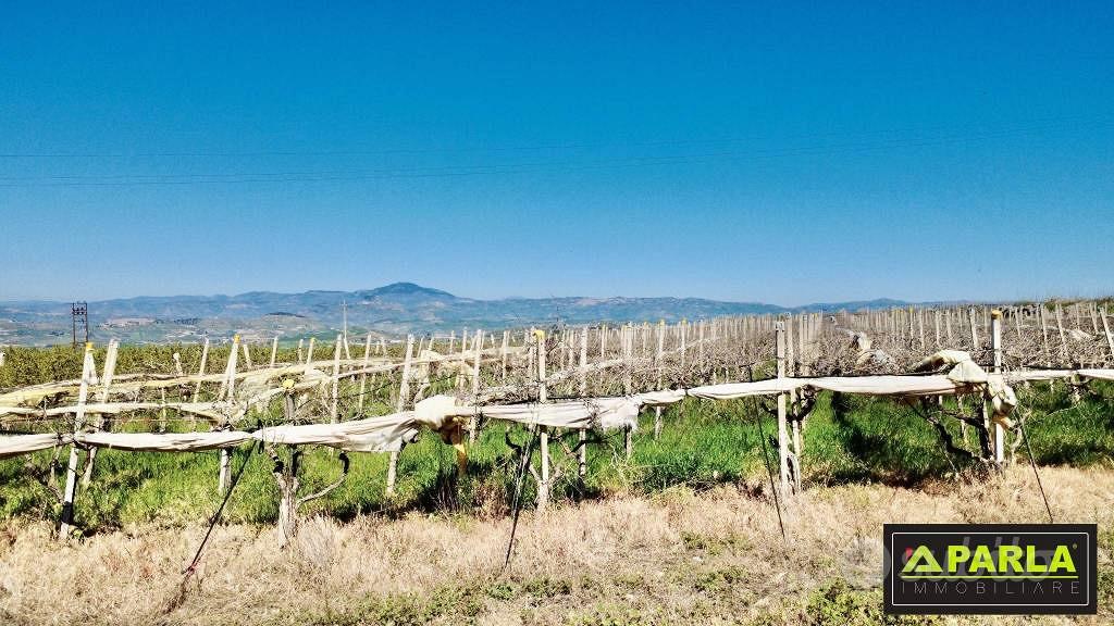 Terreno di 65000 m² a Caltanissetta - Vista 4
