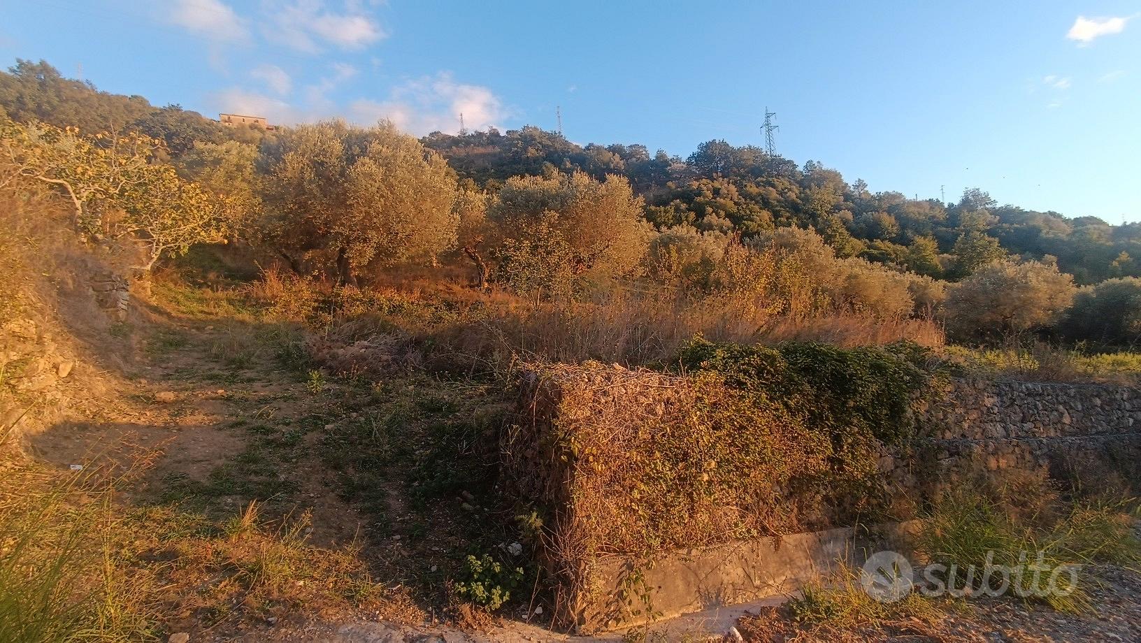 Terreno agricolo - Altro