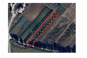 Terreno Agricolo