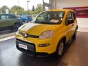 fiat-panda-1-0-70cv-hybrid-panda-n71609