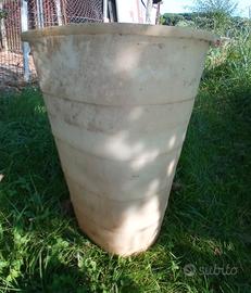 Bigongia mastello per la raccolta uva