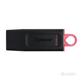 PEN DRIVE KINGSTON DTX/256GB - 256GB USB3.2