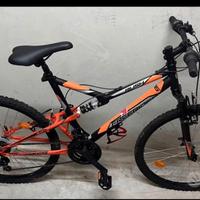 Bicicletta mountain bike