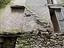 Immagine 29