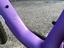 Immagine 13
