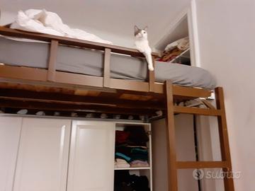 SCALA SOPPPALCO info misure solo se interessati