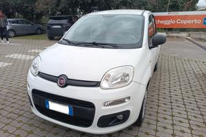 Fiat Panda 1.2 Easy PERFETTA
