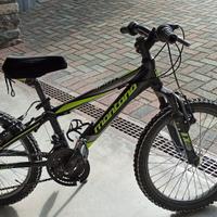 Bici mtb bambino 20 pollici
