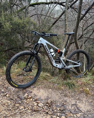 Santa cruz heckler