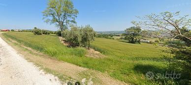 Terreno agricolo con pozzo e ulivi