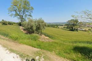Terreno agricolo con pozzo e ulivi