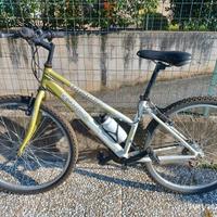 BICI MTB