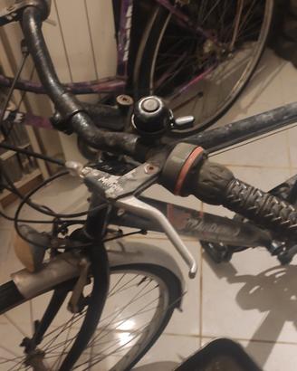 Bici