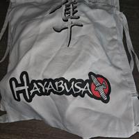 Hayabusa LAST MINUTE