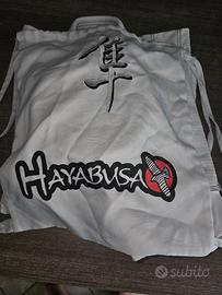 Hayabusa LAST MINUTE