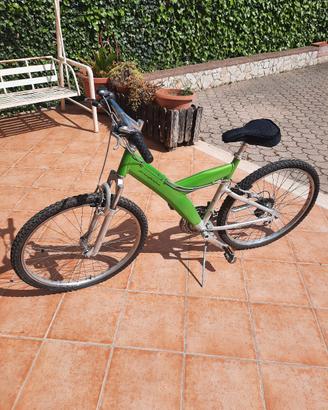 Bicicletta pininfarina